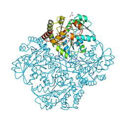 BU of 7mcn by Molmil