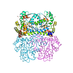 BU of 7mcq by Molmil