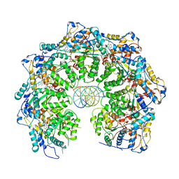 BU of 7mcs by Molmil