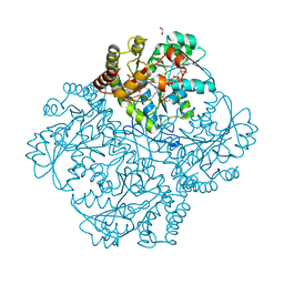 BU of 7mct by Molmil