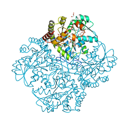 BU of 7md0 by Molmil