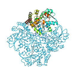 BU of 7md1 by Molmil