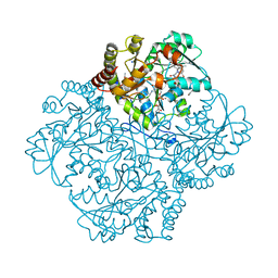 BU of 7md6 by Molmil