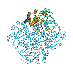 BU of 7md9 by Molmil