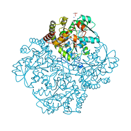 BU of 7mdb by Molmil