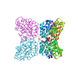 BU of 7mds by Molmil