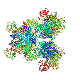 BU of 7mfm by Molmil