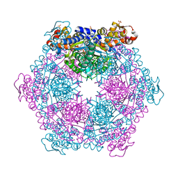 BU of 7mhb by Molmil