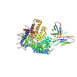 AU of 7mhz by Molmil