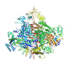 BU of 7mki by Molmil