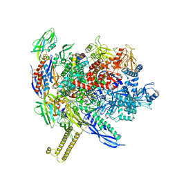 BU of 7mkp by Molmil