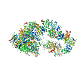 BU of 7ml0 by Molmil