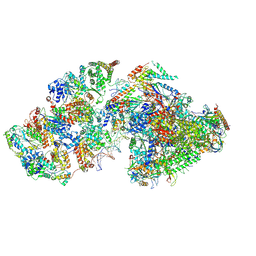 BU of 7ml1 by Molmil