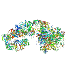 BU of 7ml4 by Molmil