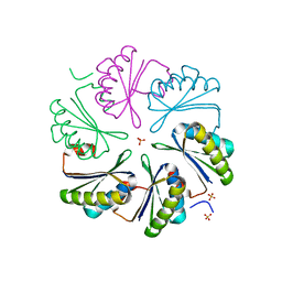 BU of 7mmx by Molmil