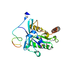 BU of 7mnp by Molmil