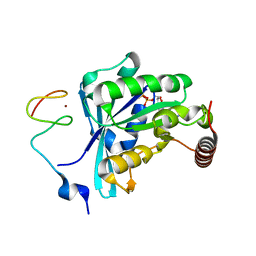 BU of 7mo3 by Molmil