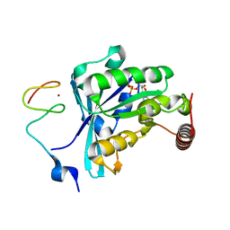 BU of 7mo4 by Molmil