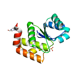 BU of 7mpd by Molmil