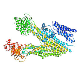 BU of 7mpe by Molmil