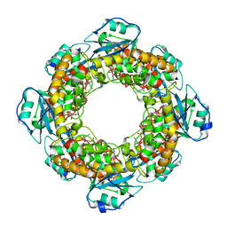 BU of 7mpo by Molmil
