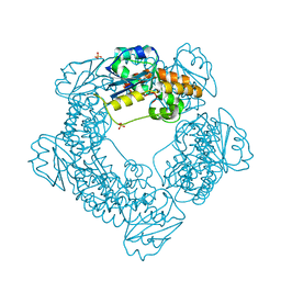 BU of 7mpr by Molmil
