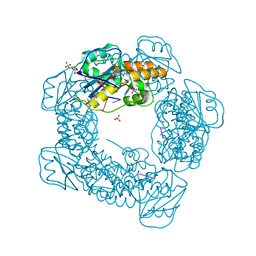 BU of 7mpu by Molmil