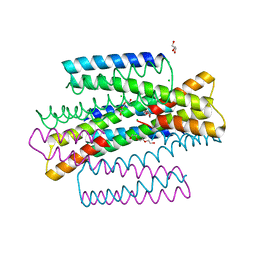 BU of 7mq1 by Molmil