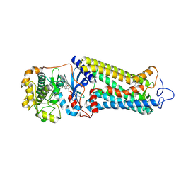 BU of 7mt9 by Molmil