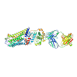 BU of 7mta by Molmil