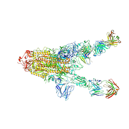 BU of 7mw5 by Molmil