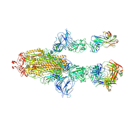 BU of 7mw6 by Molmil