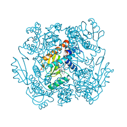 BU of 7mx0 by Molmil