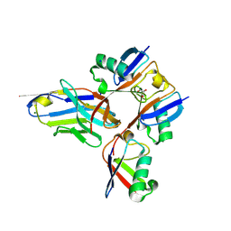 BU of 7nbb by Molmil