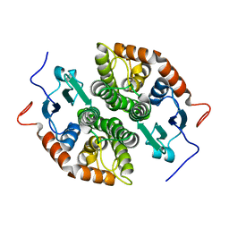 BU of 7ncb by Molmil