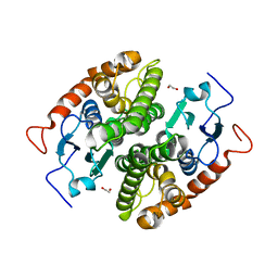 BU of 7ncd by Molmil