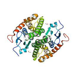 BU of 7ncl by Molmil