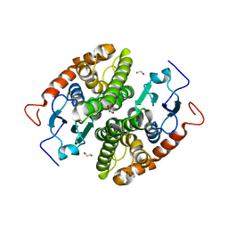 BU of 7ncn by Molmil