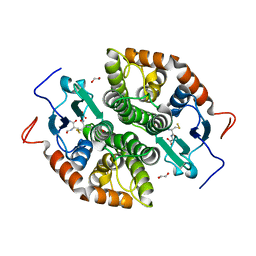 BU of 7ncu by Molmil