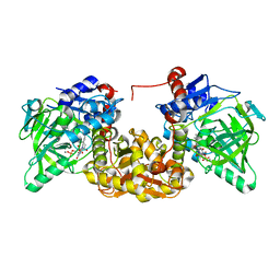 BU of 7nf4 by Molmil