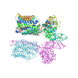 BU of 7nf8 by Molmil