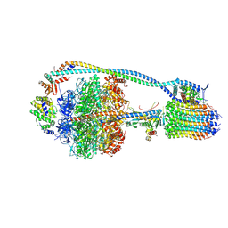 BU of 7njp by Molmil