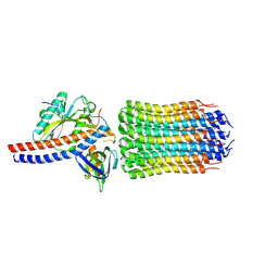 BU of 7nkb by Molmil