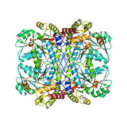 BU of 7nl1 by Molmil