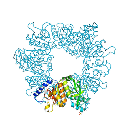 BU of 7nlf by Molmil