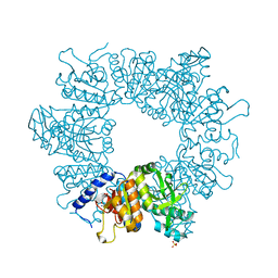 BU of 7nlp by Molmil