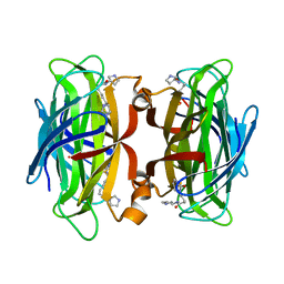 BU of 7nlv by Molmil