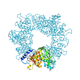 BU of 7nlw by Molmil