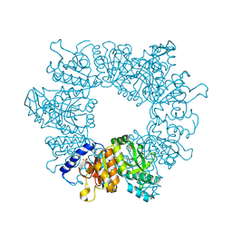 BU of 7nlx by Molmil