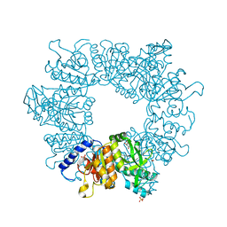 BU of 7nm0 by Molmil